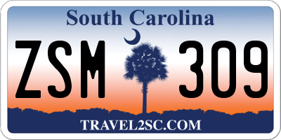 SC license plate ZSM309