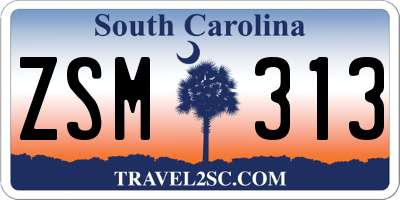 SC license plate ZSM313