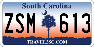 SC license plate ZSM613