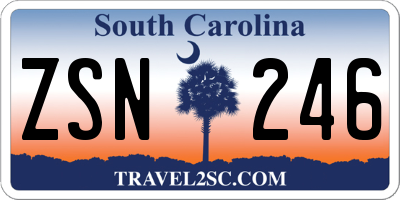 SC license plate ZSN246