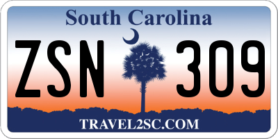 SC license plate ZSN309