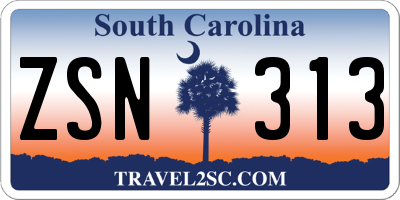 SC license plate ZSN313
