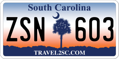 SC license plate ZSN603