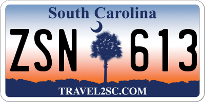 SC license plate ZSN613