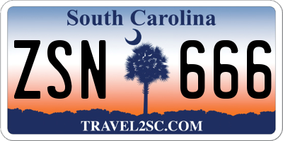 SC license plate ZSN666