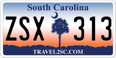SC license plate ZSX313