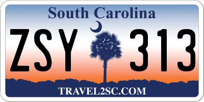 SC license plate ZSY313
