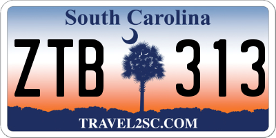 SC license plate ZTB313