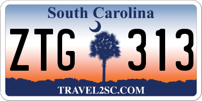 SC license plate ZTG313