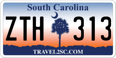 SC license plate ZTH313