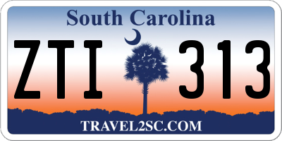 SC license plate ZTI313