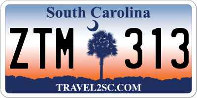SC license plate ZTM313