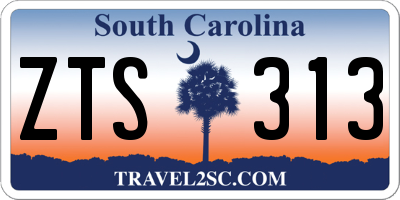 SC license plate ZTS313