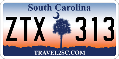SC license plate ZTX313