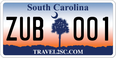 SC license plate ZUB001