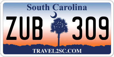 SC license plate ZUB309
