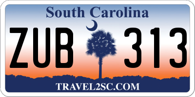 SC license plate ZUB313