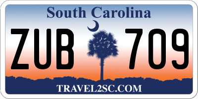 SC license plate ZUB709