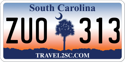 SC license plate ZUO313