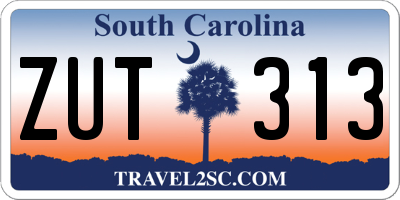 SC license plate ZUT313