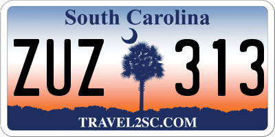 SC license plate ZUZ313