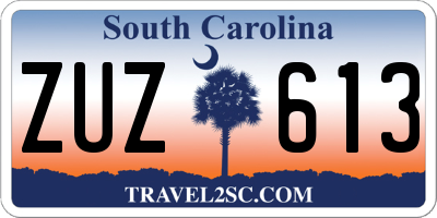 SC license plate ZUZ613