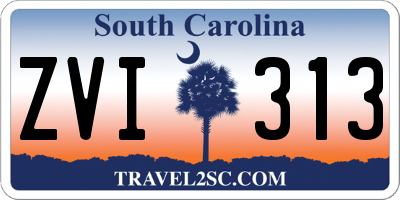 SC license plate ZVI313