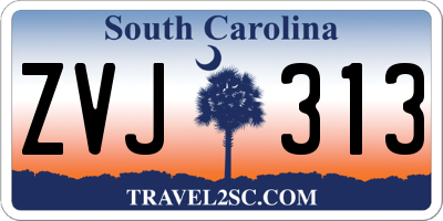 SC license plate ZVJ313