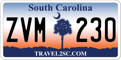 SC license plate ZVM230