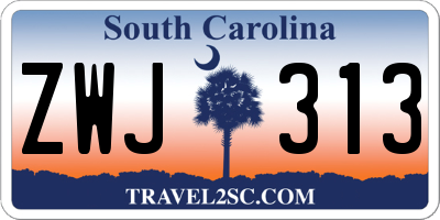 SC license plate ZWJ313
