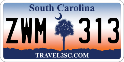 SC license plate ZWM313