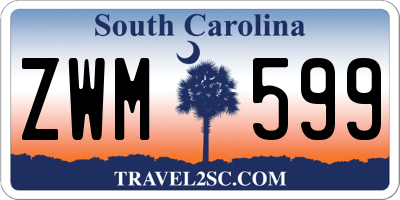 SC license plate ZWM599