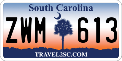 SC license plate ZWM613