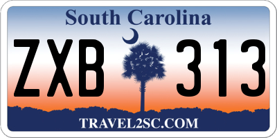 SC license plate ZXB313