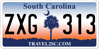 SC license plate ZXG313