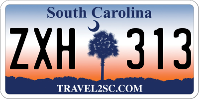 SC license plate ZXH313