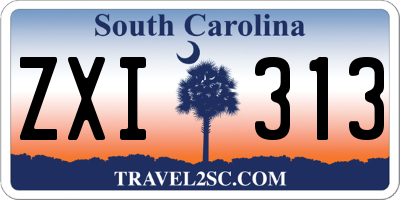 SC license plate ZXI313