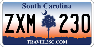 SC license plate ZXM230