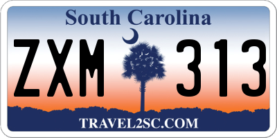 SC license plate ZXM313