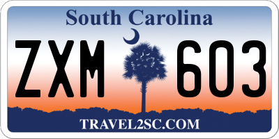 SC license plate ZXM603