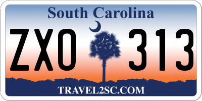 SC license plate ZXO313