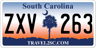 SC license plate ZXV263