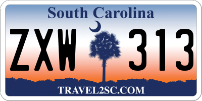 SC license plate ZXW313