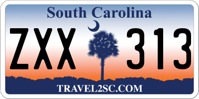 SC license plate ZXX313