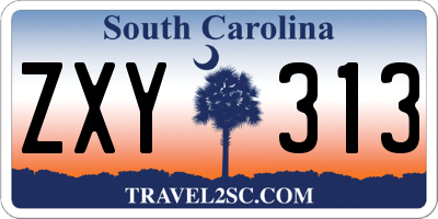 SC license plate ZXY313