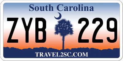 SC license plate ZYB229