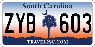 SC license plate ZYB603