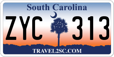 SC license plate ZYC313