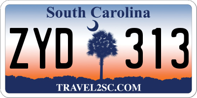 SC license plate ZYD313