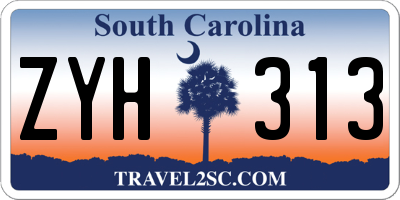 SC license plate ZYH313